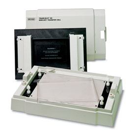美国Bio-rad伯乐 Trans-Blot SD半干转印槽